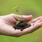 planting-8027884_1280