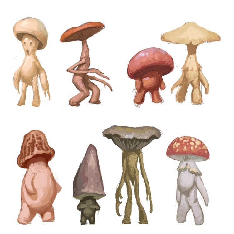 tipos de hongos