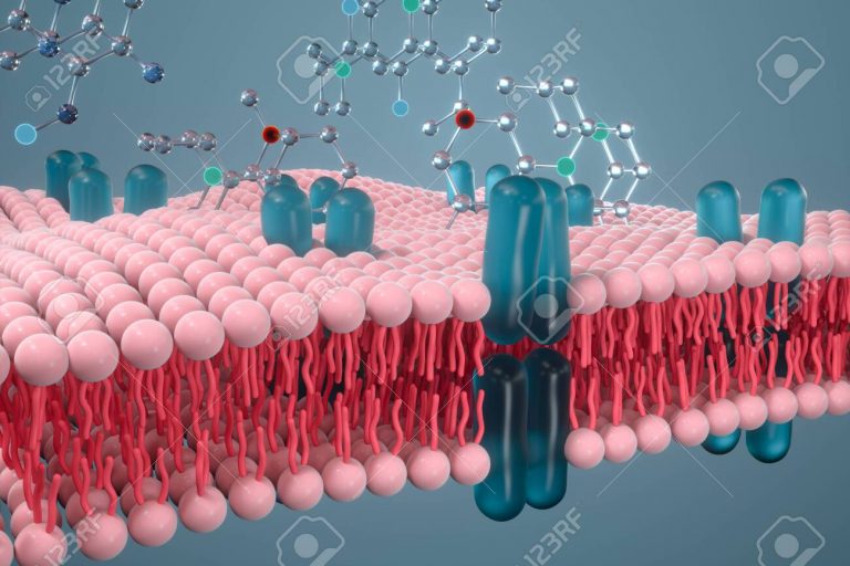 Cell membrane and biology, biological concept, 3d rendering.