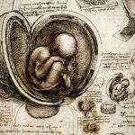 d58f736c-44a6-4537-af7d-a4cdd4cc6ca3