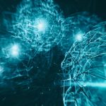 xr:d:DAEl5GDVMMI:915,j:6718639999528771123,t:23070211