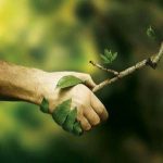 photo_5859335801752634853_x