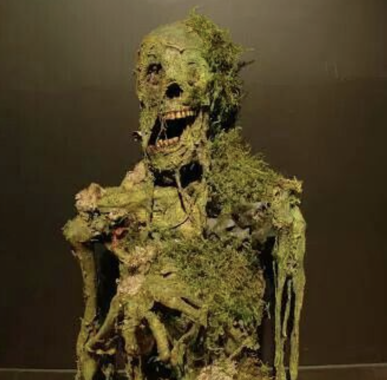 mancha verde cadaver