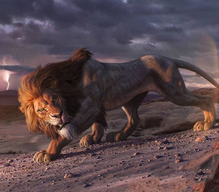 45d0f04164b3cbb1dd52b17724c5f8e0