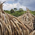 9df7f23f691b1d42659d5f68d7aa8019