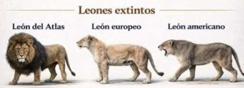 leones extintos