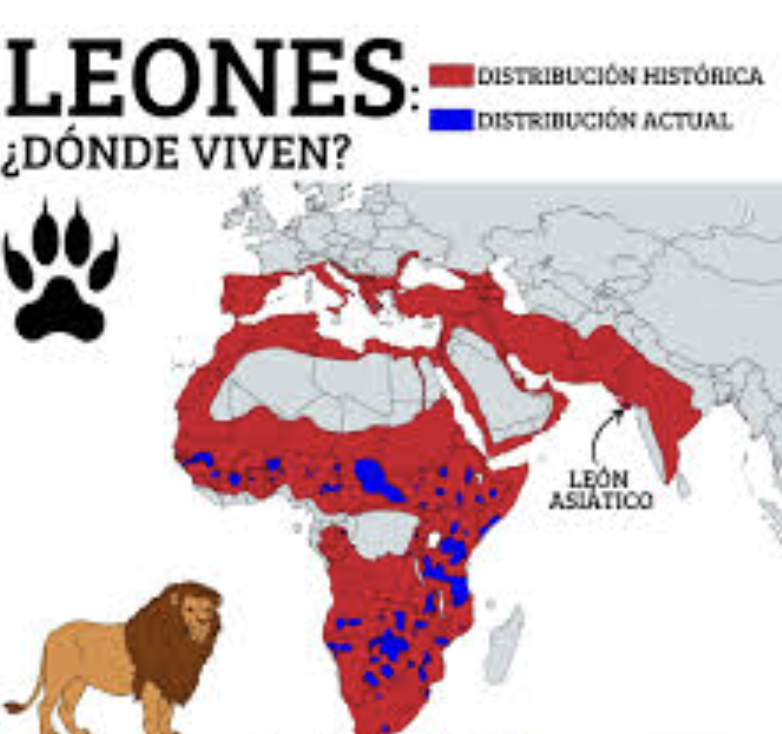 distribucion geografica de los leones