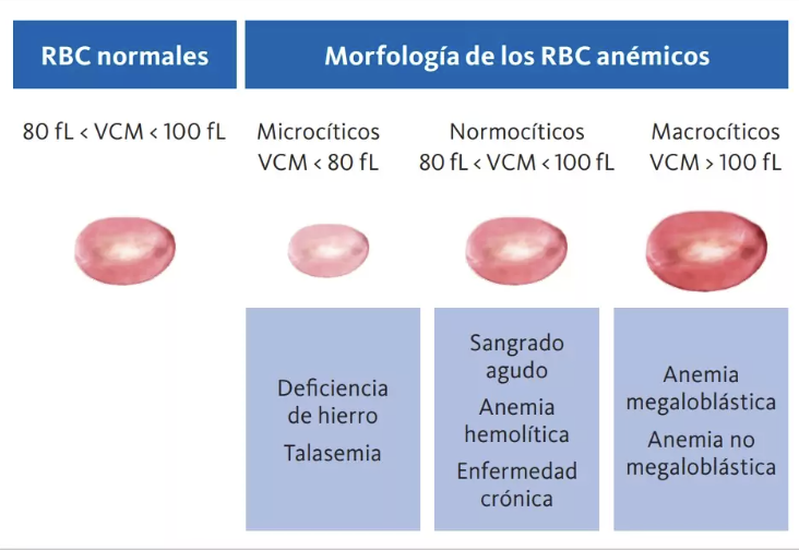 Parámetros Eritrocitarios