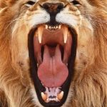 a2f5427422d2da128863494a0a697782