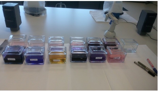 aclaramiento tejidos xileno