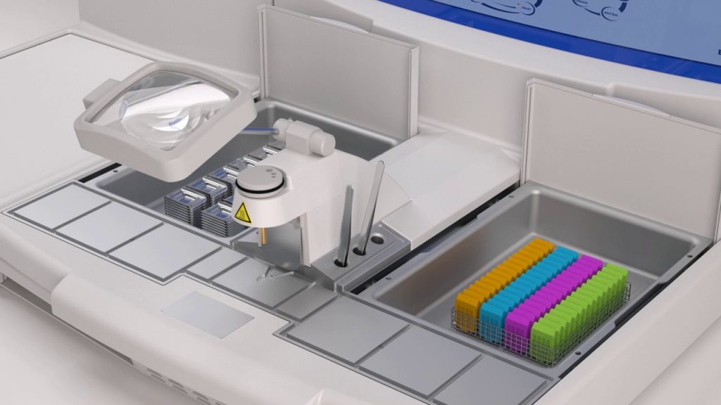 inclusion en parafina