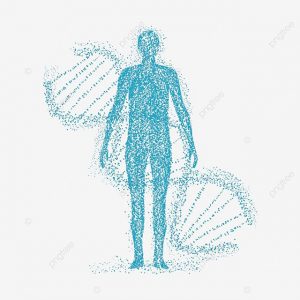 4b99d2410bc6d2110242edab3d812324