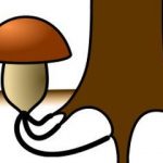 7809a94fb455d8ae3d034dd2ceaad28c