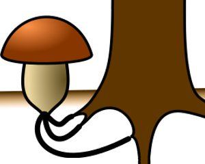 7809a94fb455d8ae3d034dd2ceaad28c