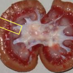 Captura de pantalla 2025-09-05 a las 13.10.02