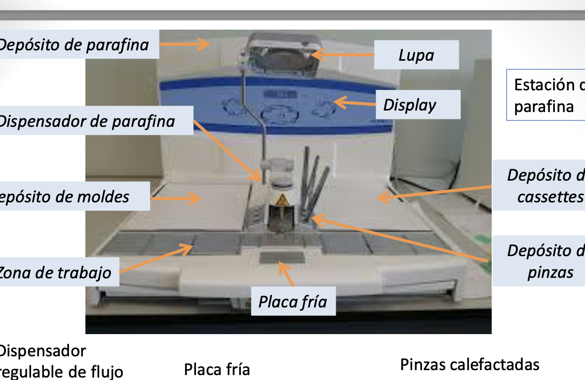 materiales inclusion en parafina