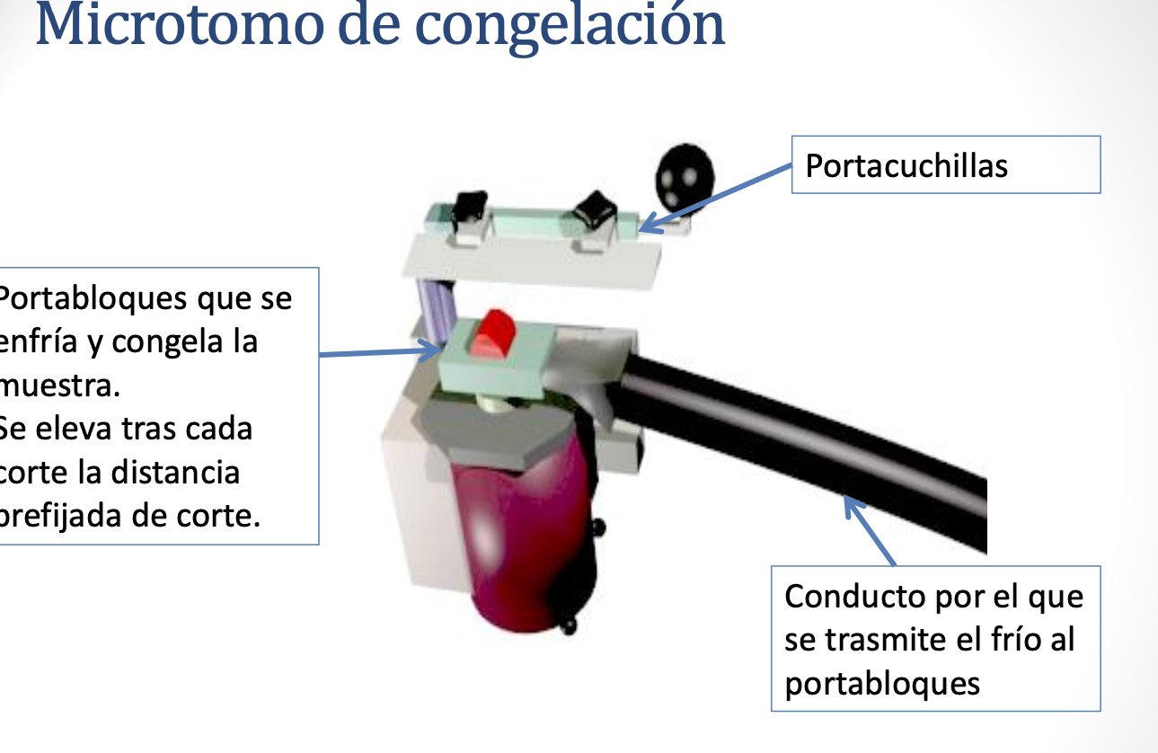 microtomo de congelacion