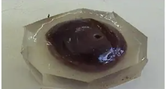 inclusión en gelatina 