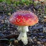 dd059d4f5a1e100c766e49c00e1c2d1d