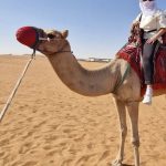 582644096_10236881343165855_4727781873952864684_n