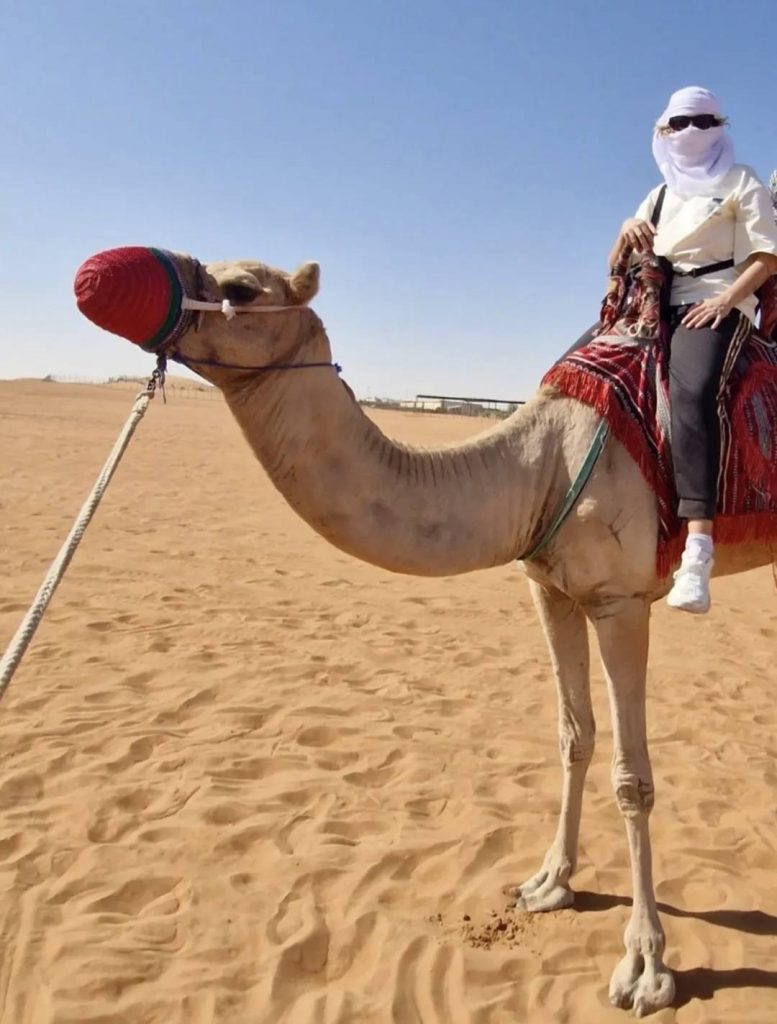 safari en dubai camellos