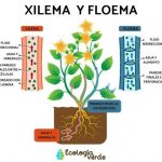 0e9817fac2f7e696e22c9e70d11f6ce2