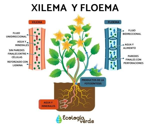 0e9817fac2f7e696e22c9e70d11f6ce2