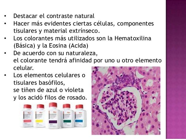 pasos tincion hematoxilina eosina