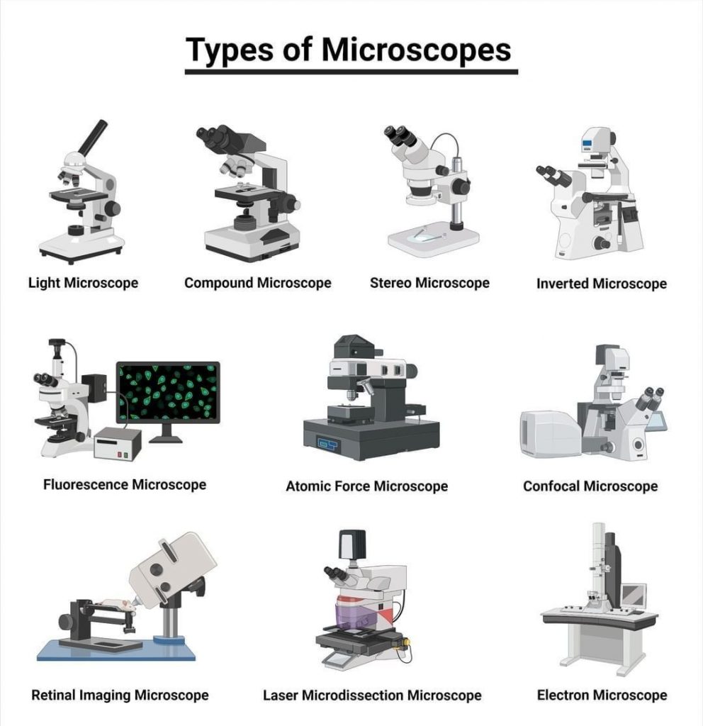 tipos de microscopio