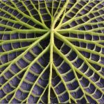 65cd57bd859a5b800397e378b8ecfb94