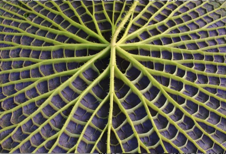 65cd57bd859a5b800397e378b8ecfb94