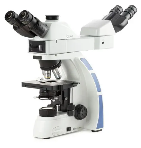 microscopio campo oscuro