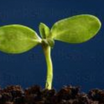 Captura de pantalla 2025-12-29 a las 15.09.58