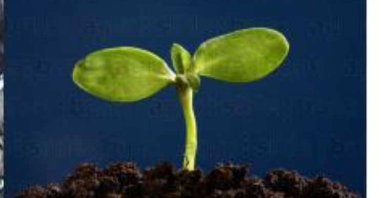 Captura de pantalla 2025-12-29 a las 15.09.58