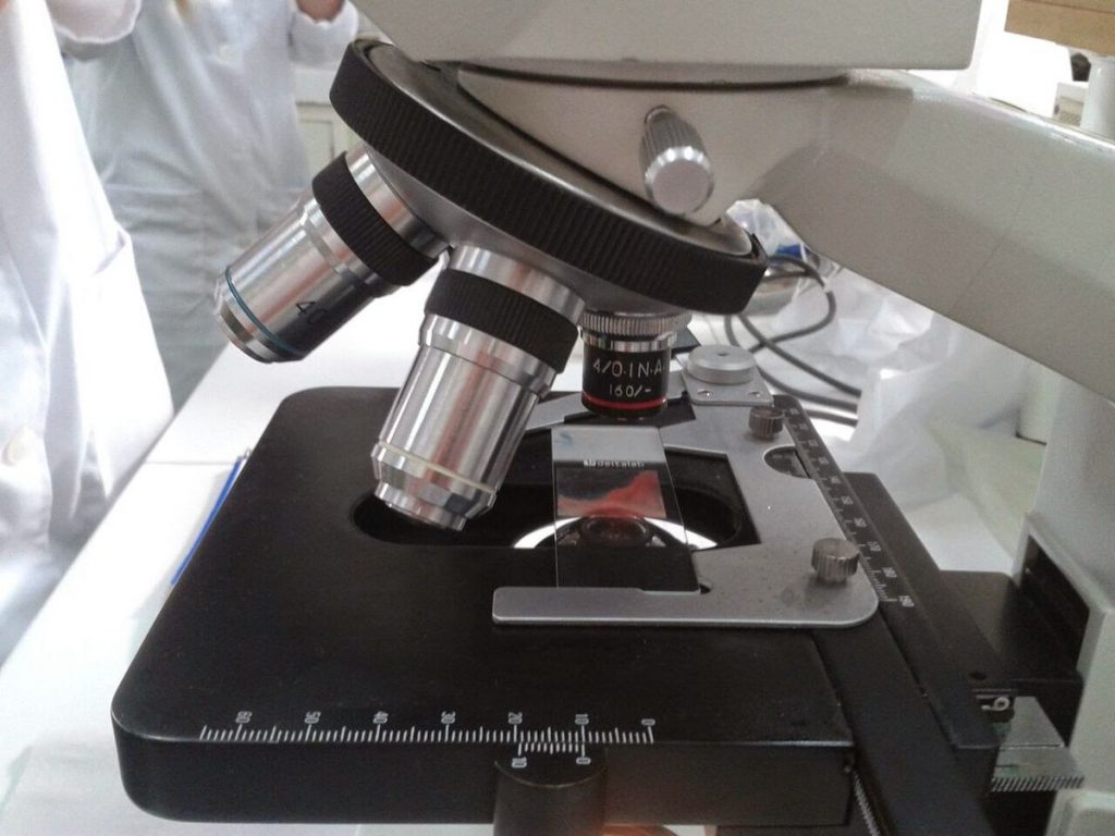 como preparar una muestra al microscopio