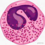 c2ea1bbaa253c0d1f4f23844caa7065a