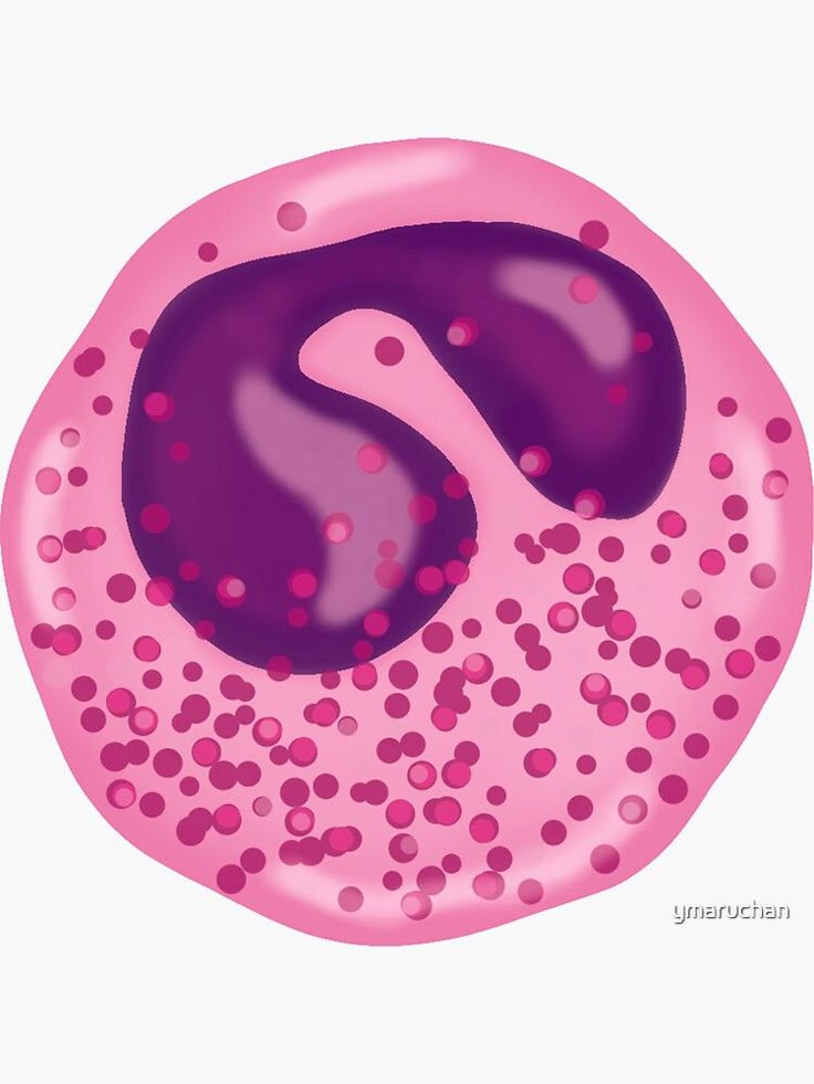 como hacer tincion de hematoxilina eosina