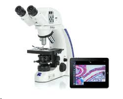 microscopio de fluorescencia