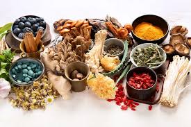 que son los adaptógenos