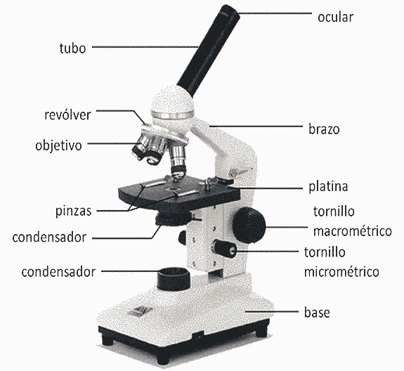 partes de un microscopio óptico