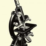 f5b377b90dd4df801fa0cf19b496e36f