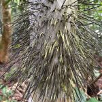 6293e6414fd69cd4934ba818fcda189331d46461