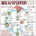 758cc8bf0d297b92b5c8c1a51448a0d2