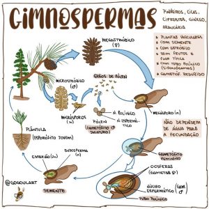 8388a309ab51f25e93aab710e94e145c