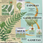 Captura de pantalla 2026-01-07 a las 16.47.06