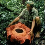 Captura de pantalla 2026-01-23 a las 15.13.43