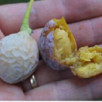 Captura de pantalla 2026-01-24 a las 15.04.28