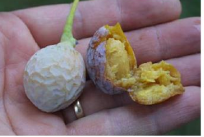 Captura de pantalla 2026-01-24 a las 15.04.28