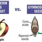 ce7f4cb734ea9181176caa071383482b