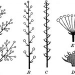 16a0dd449df83031c5c1bf23869bb9ab